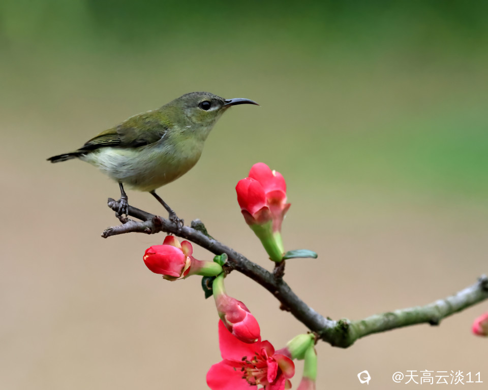 5D2A3882-DeNoiseAI-clear.jpg