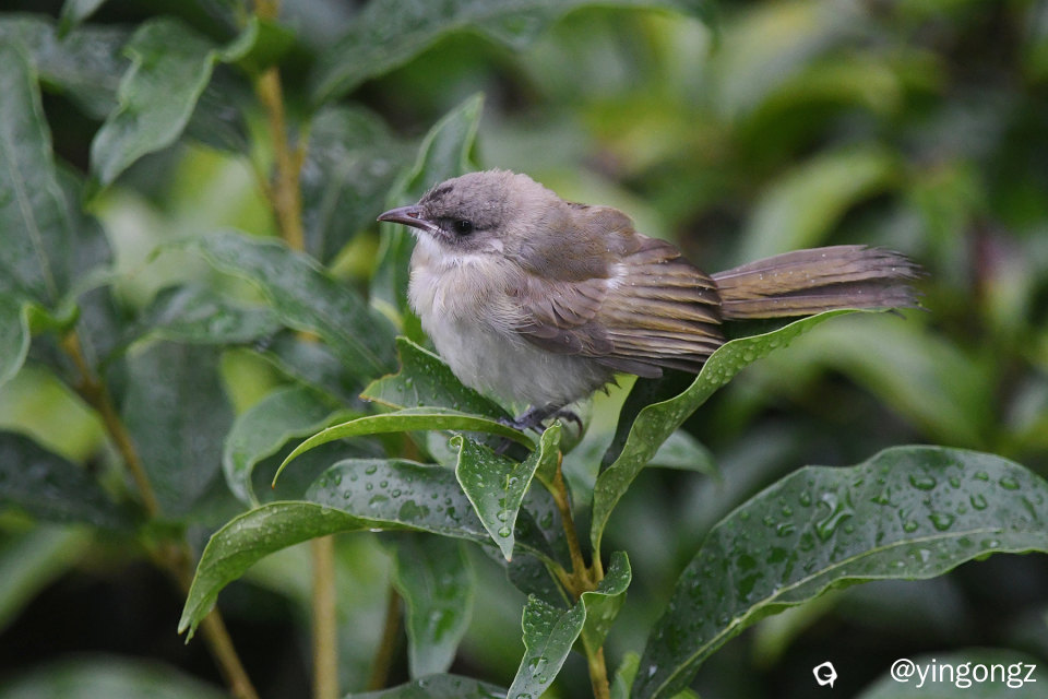 DSC_7386_副本.jpg