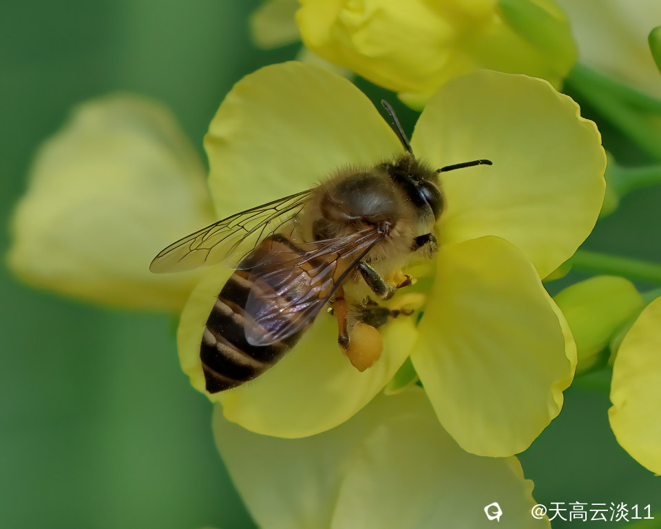 5D2A1711-DeNoiseAI-clear.jpg