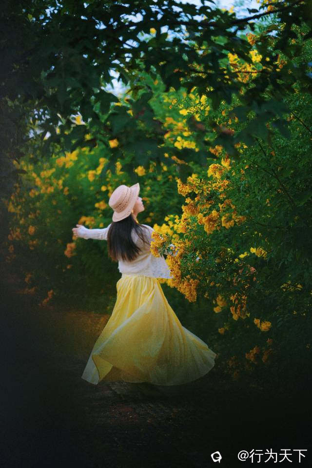 6f89fd97-ed61-6a84-8cfc-953df399866a.jpg