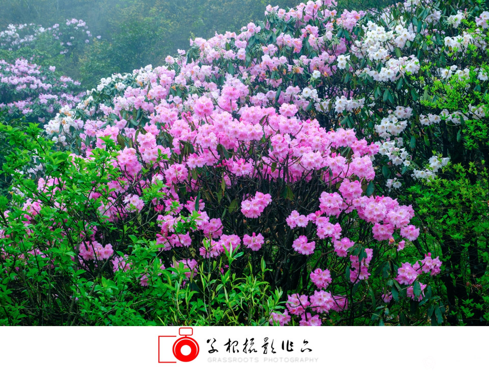 _DSF4879 拷贝A_副本.jpg