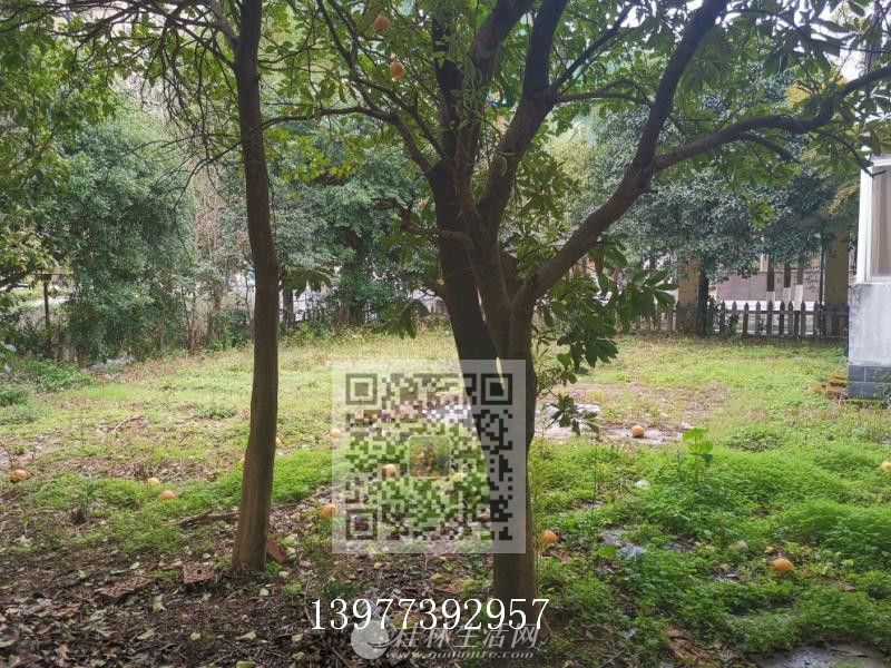 �ٹ�����������������ë��ռ��590ƽ��