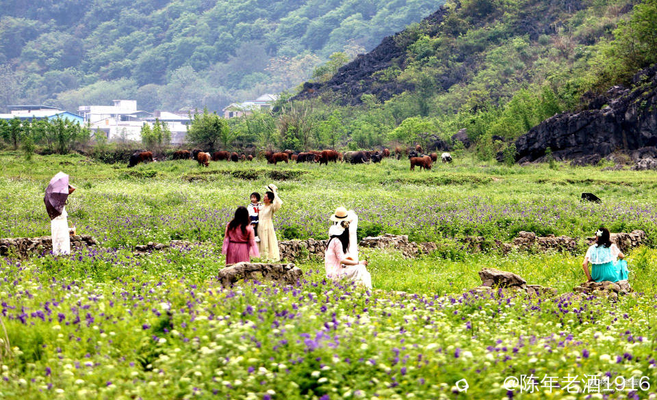 IMG_3164-01_副本.jpg
