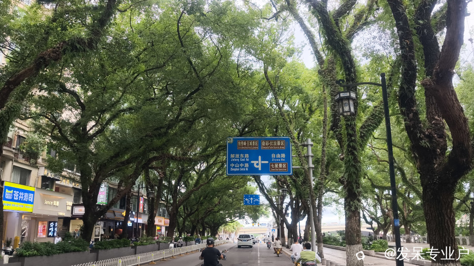 fd3d382a-8ba9-b20b-6b4a-fe9664ed4f59.jpg