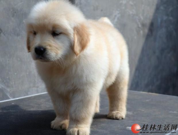���ֽ�ë����Ǯ �������н�ëȮ���� ��ë������ �����Ҹ�Ȯҵ