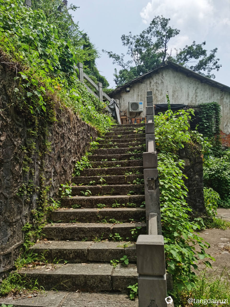 上山
