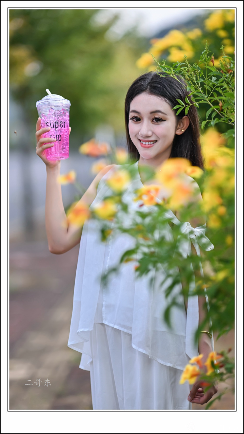 黄槐决明 (7).jpg