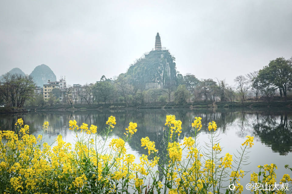 DSC05514-0.jpg