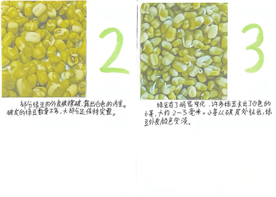 图片 27.png