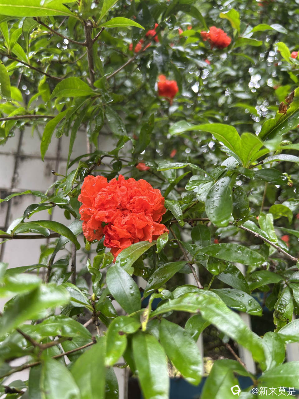 微信图片_20260514142017_305_289.jpg