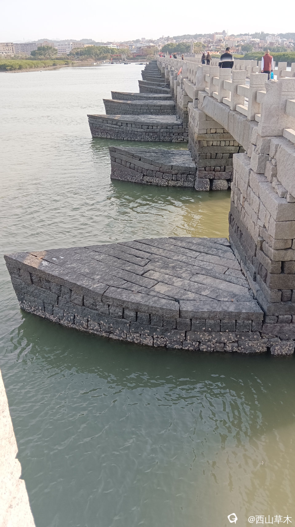 迎潮面桥墩1.jpg