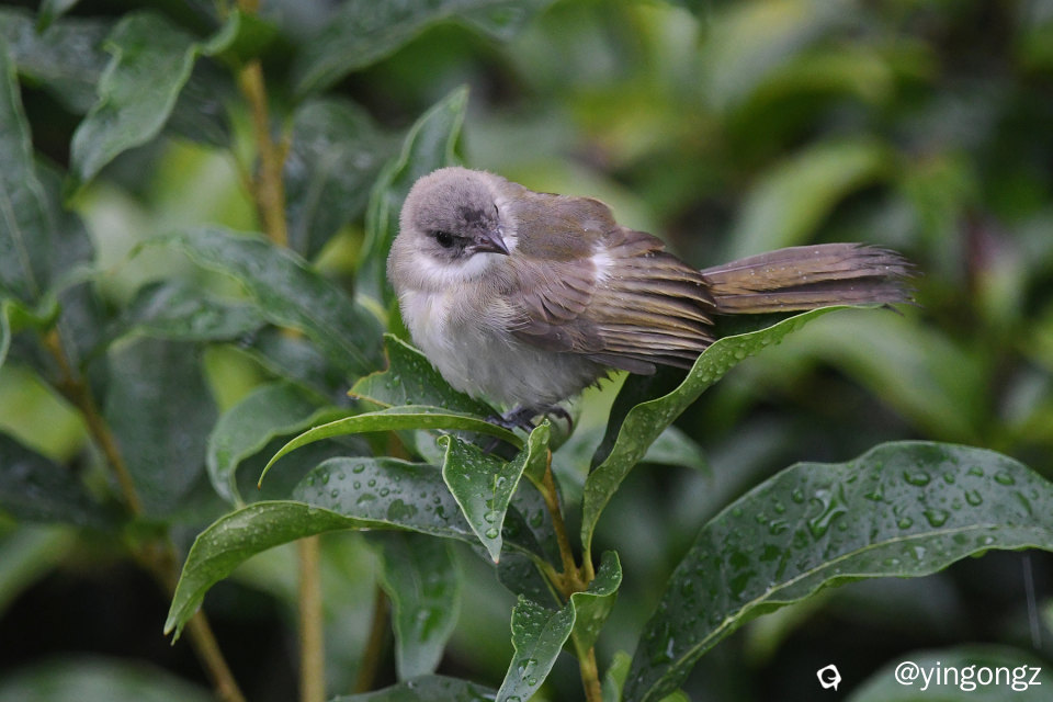 DSC_7383_副本.jpg
