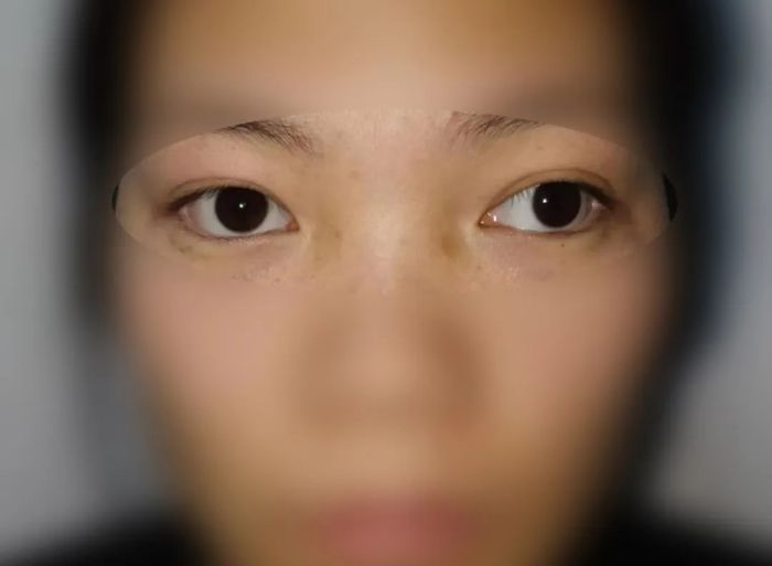 微信图片_20250212112029.jpg