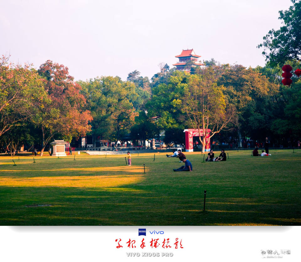 IMG_20241114_161315_副本 - 副本.jpg