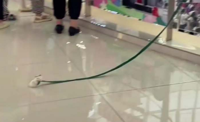 廣西一小朋友出門玩順便遛寵物，長長的繩上拴著一只迷你小倉鼠…網(wǎng)友：第一眼還以為寵物跑了