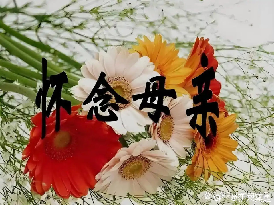 d8f9d72a6059252db3d3b9018d86a3345ab5b998_看图王.jpg