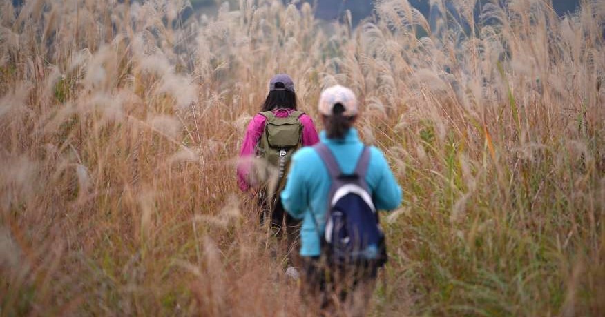 临桂留心岭的绝美徒步路线来了