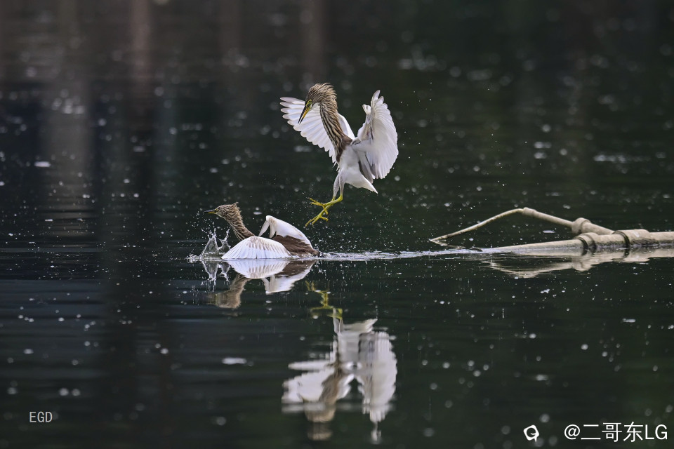 你瞅啥瞅你咋地 (7).jpg