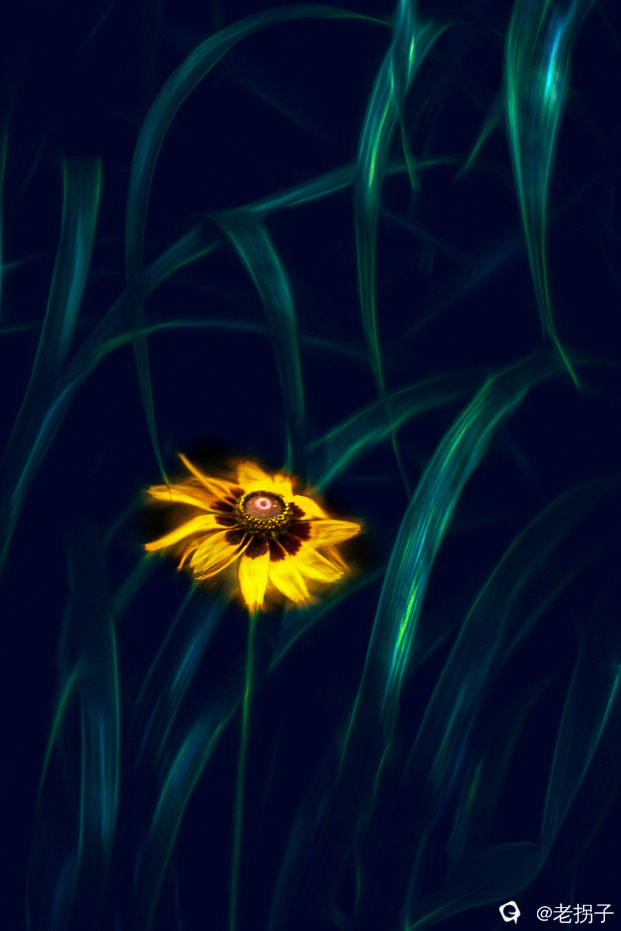 142324mm7m9oc3i9zhtcrr.jpg