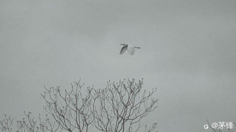 DSCF4475-1.jpg