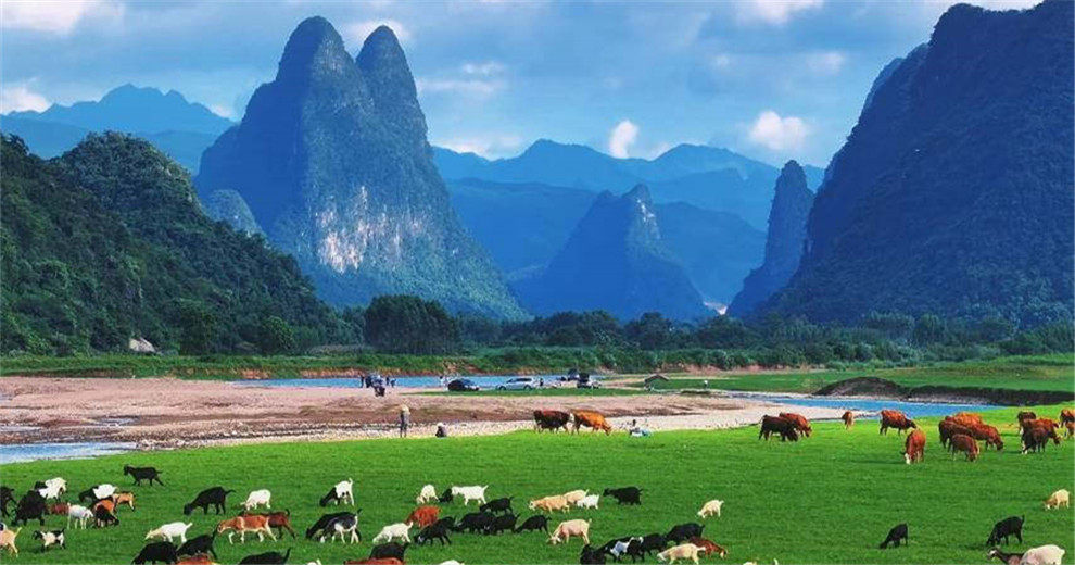 永福金鸡河水库大草原拍摄的黄金季