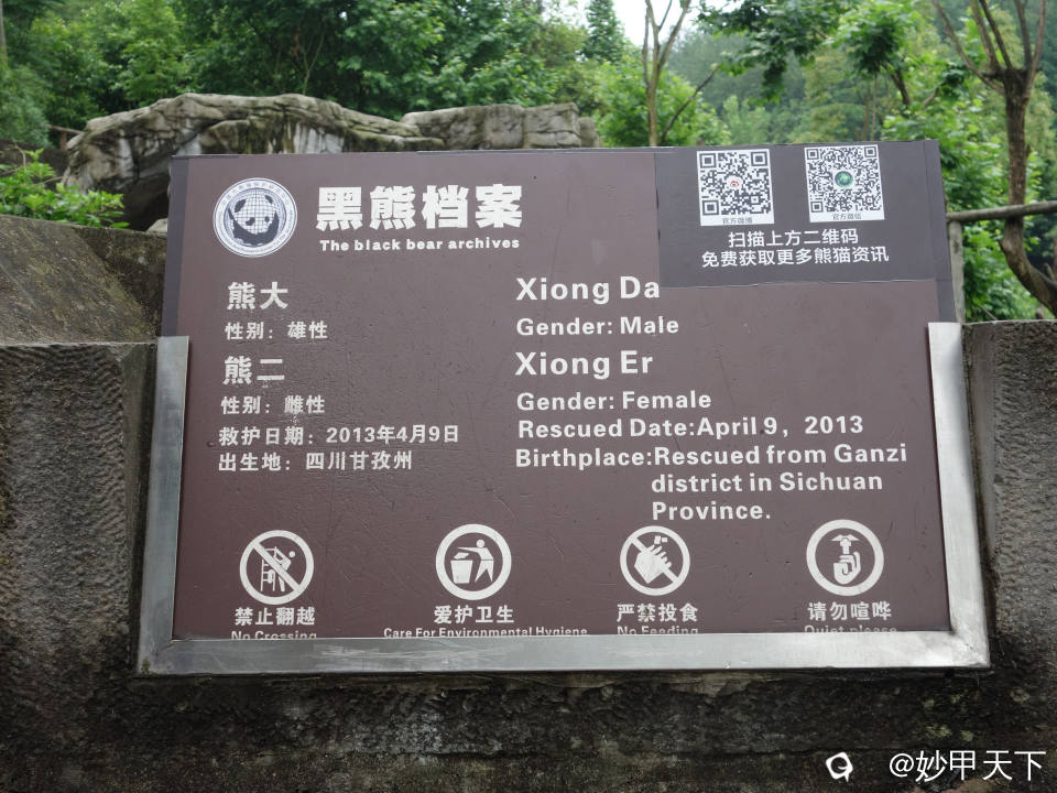 基地还有两只黑熊（下图）