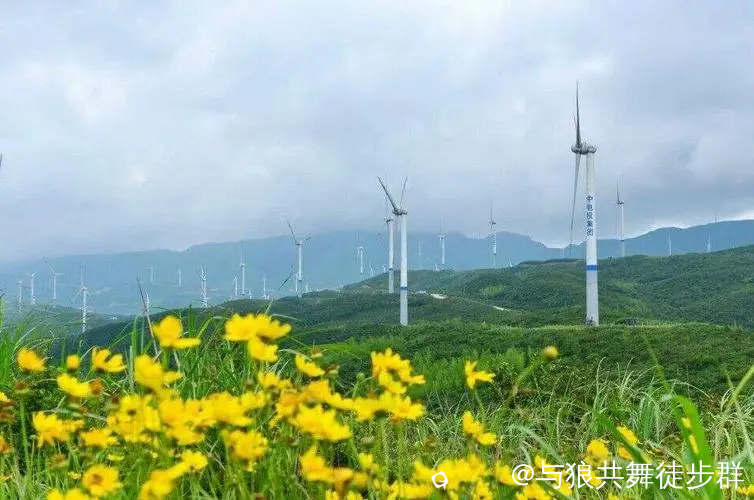 截图202405222346047446.png