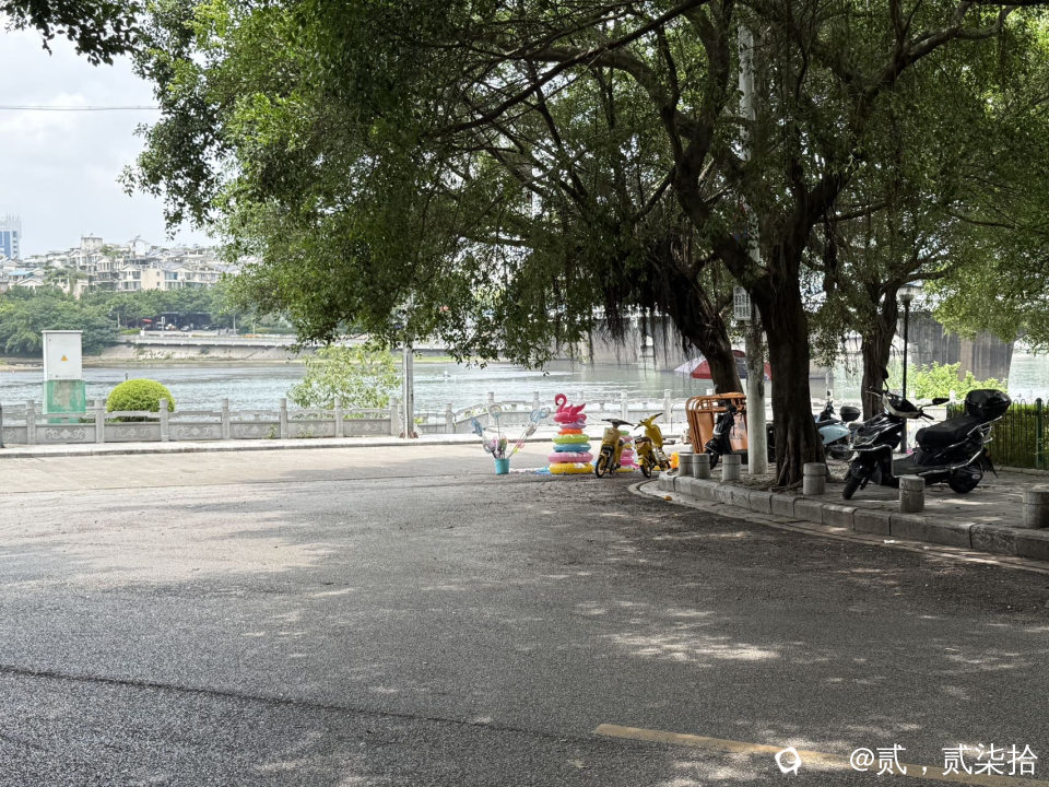 dc212926-76c1-c24d-c445-dc6b86ea958a.jpg