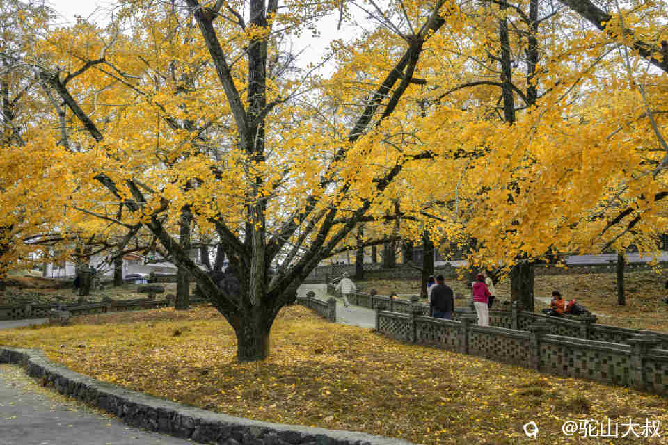 DSC04312-0 - 副本.jpg