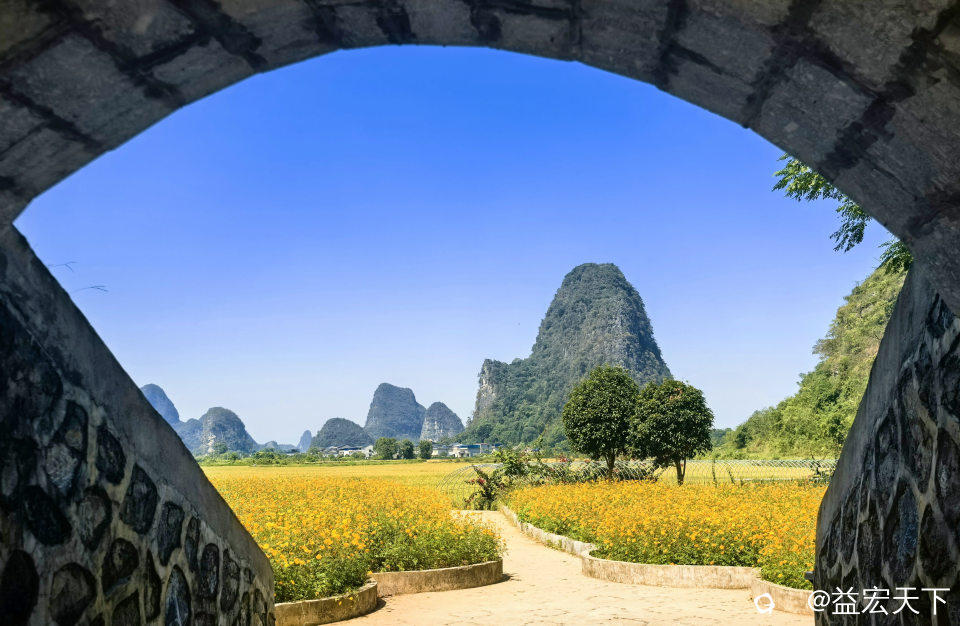 IMG_20261009_120744.jpg