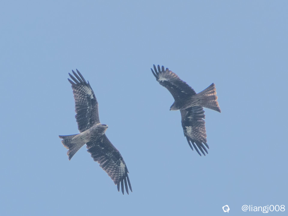 DSC09857_副本.jpg
