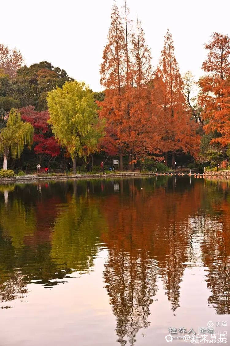 I2ZmZmZmZg_750_0_0_0_q80.webp (2).jpg