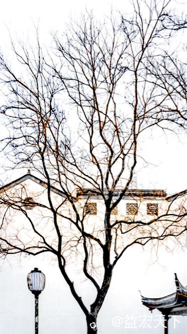 IMG_21315.png