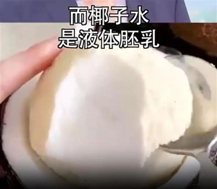 椰子1.png