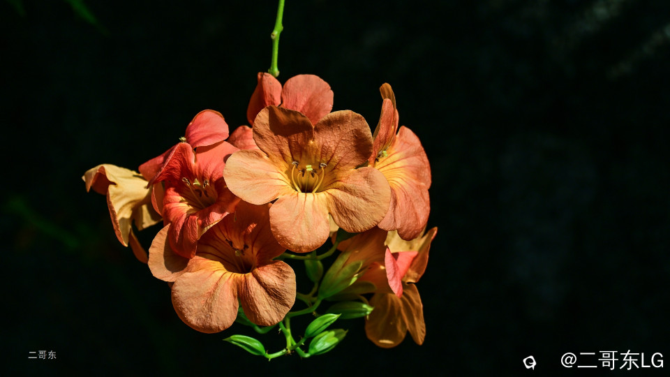 EGD_89613.jpg