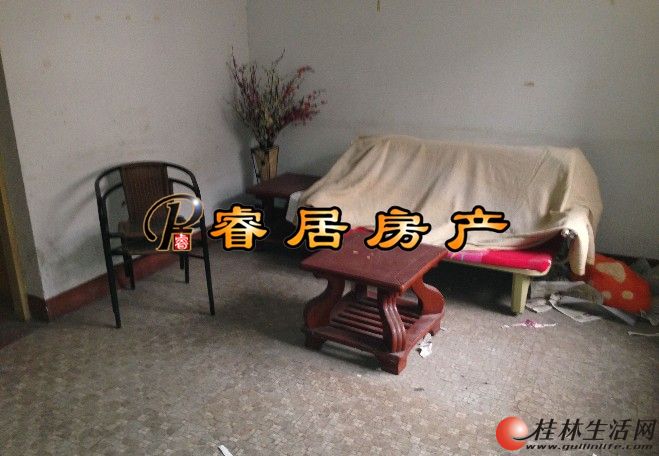 Z �ź������ԡ��ź�ѧ�� �Ÿ��롿���;������ �ƽ�4¥  ����38��