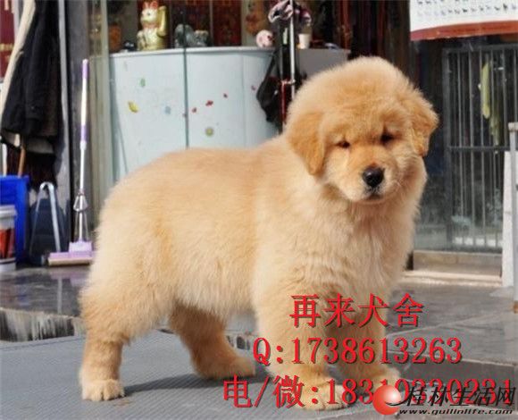 ��ëȮ����Ǯ��ëȮ�۸��ëȮͼƬ