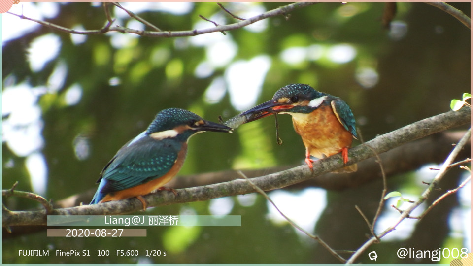 S0321062_副本.jpg