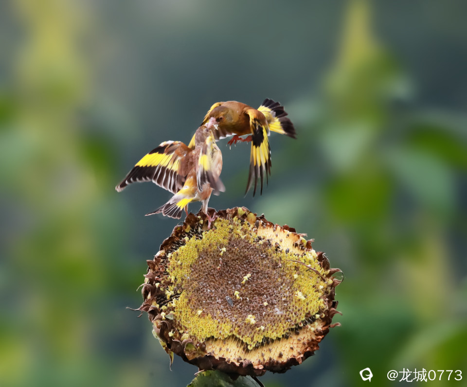 6c8805cc-4c9a-6a43-57c8-9fa4f52f95a4.jpg