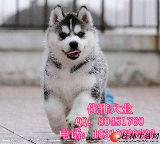 	 ��ɫ������Ȯ�۸� �����������д���Ȯ�� ������ʿ��۸�