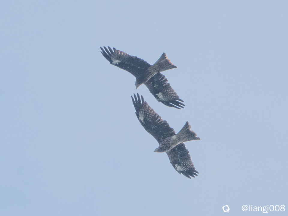 DSC09824_副本.jpg