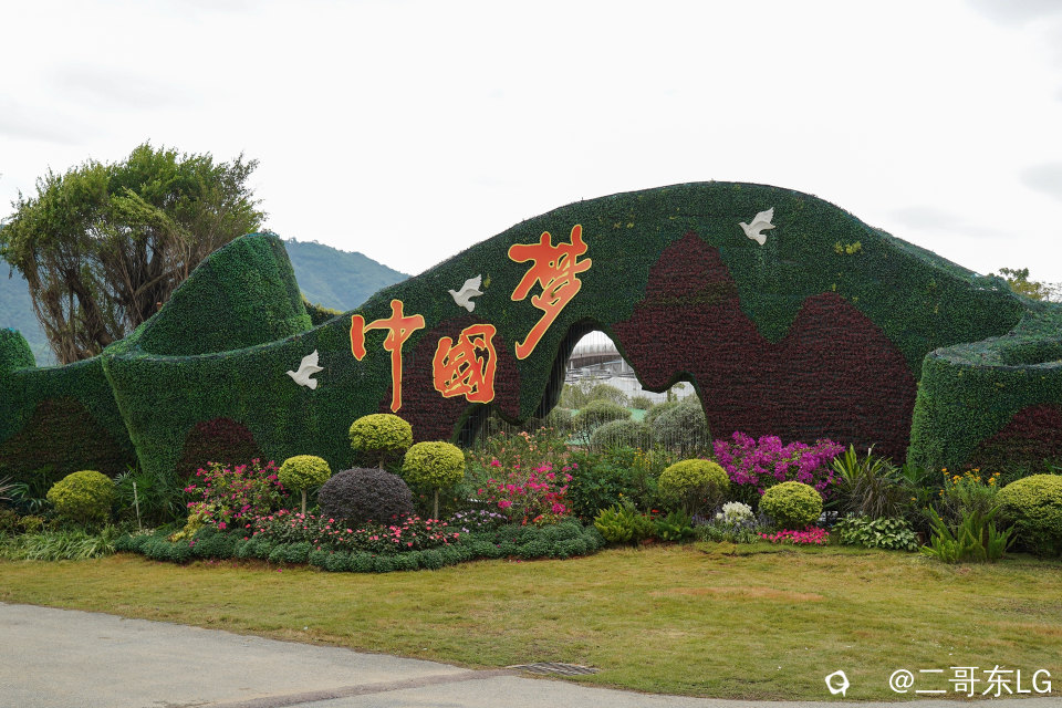 南方第三届花卉苗木交易会 (5).jpg