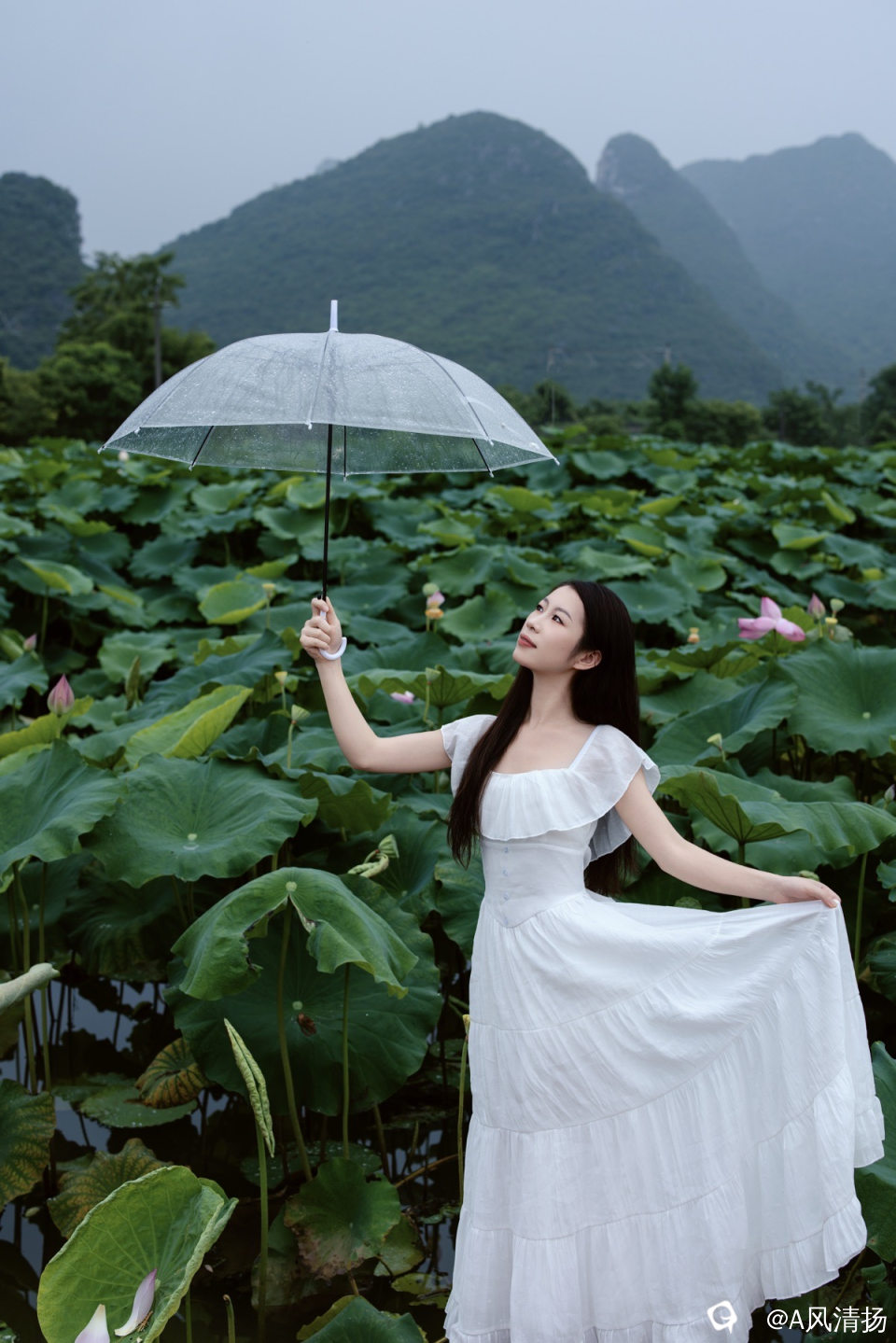 b9717015-bd5c-693a-38cd-dd4bfa002575.jpg