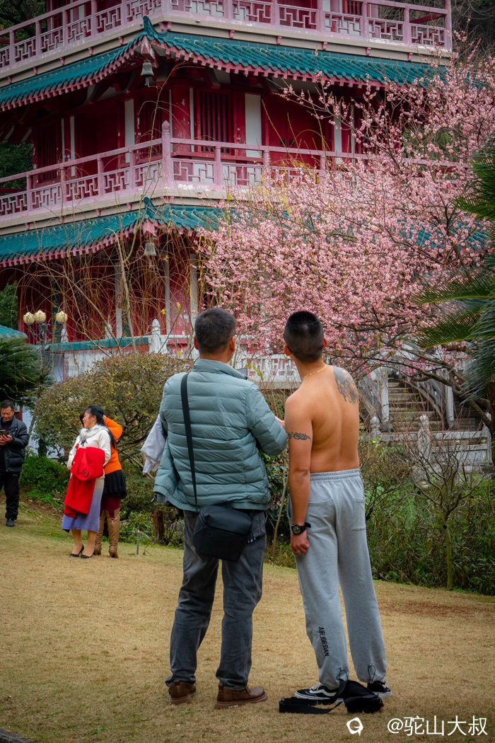 DSC05482-07_副本.jpg