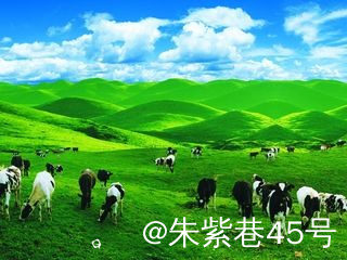 mmexport98d5cf0d68e8bbb91273381ce3cc1a39_1716668743978.jpeg