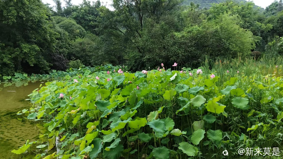 微信图片_20260607121112_1127_133.jpg