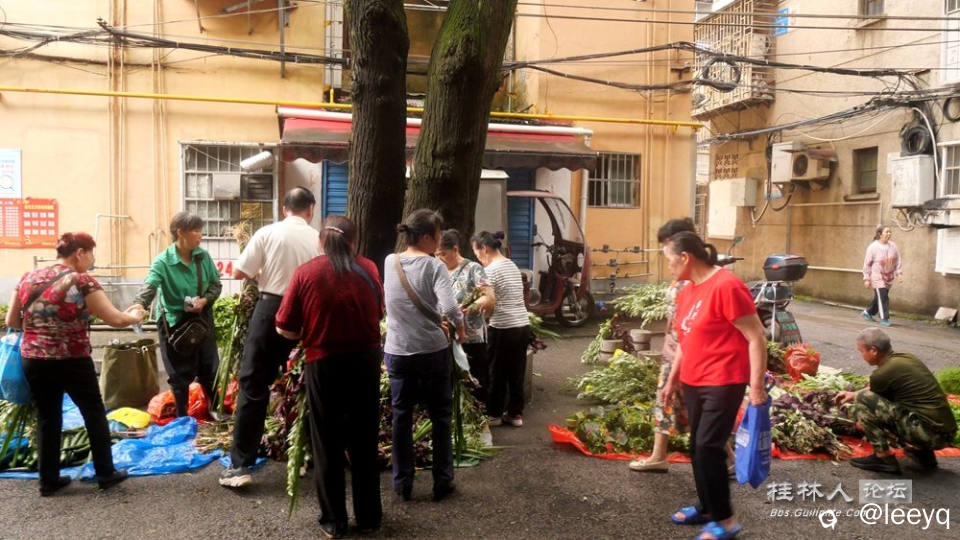 P1012253_副本.jpg