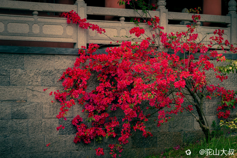 DSC03324-0.jpg