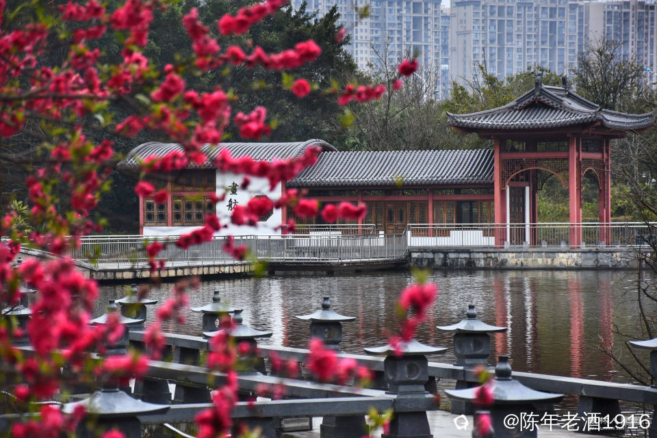 DSC_2721-02_副本.jpg