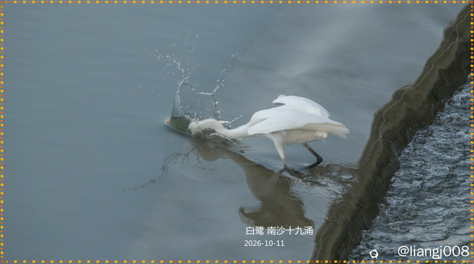 DSC01950_副本.jpg